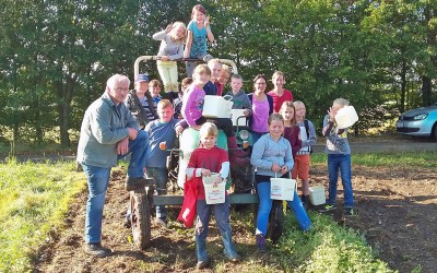 Kartoffelernte der Drittklässler in Kundert