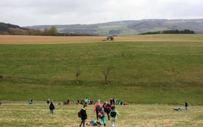 Wir suchen den Frühling